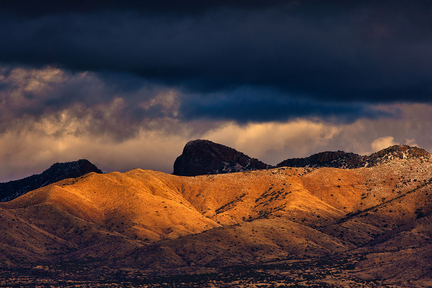 2019-12-28-rita-hills-a7r3_20693