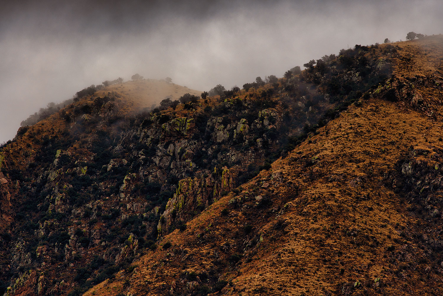 2020-01-22-box-fog-a7r3_21400