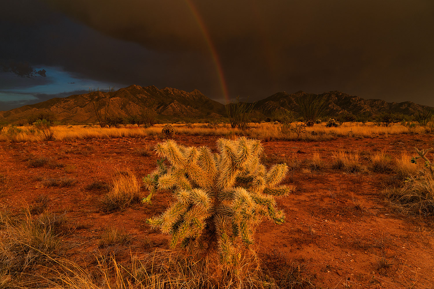 2020-07-11-rita-mtns-9-a7r3_28487