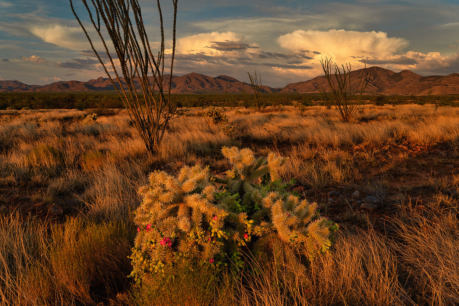 2020-07-14-rita-mtns-6-a7r3_28785