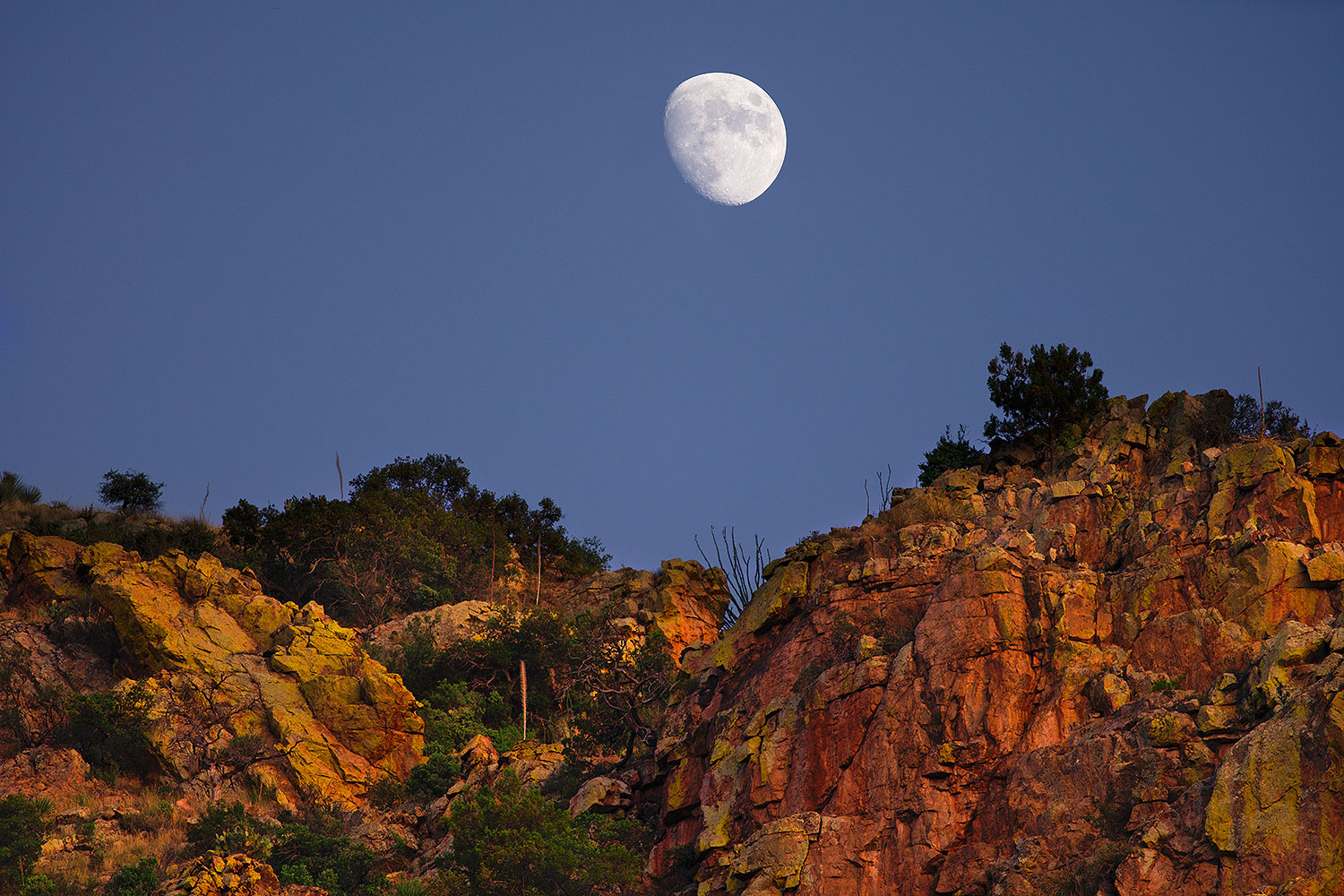 2020-07-30-box-canyon-moon-81-a7r3_29678