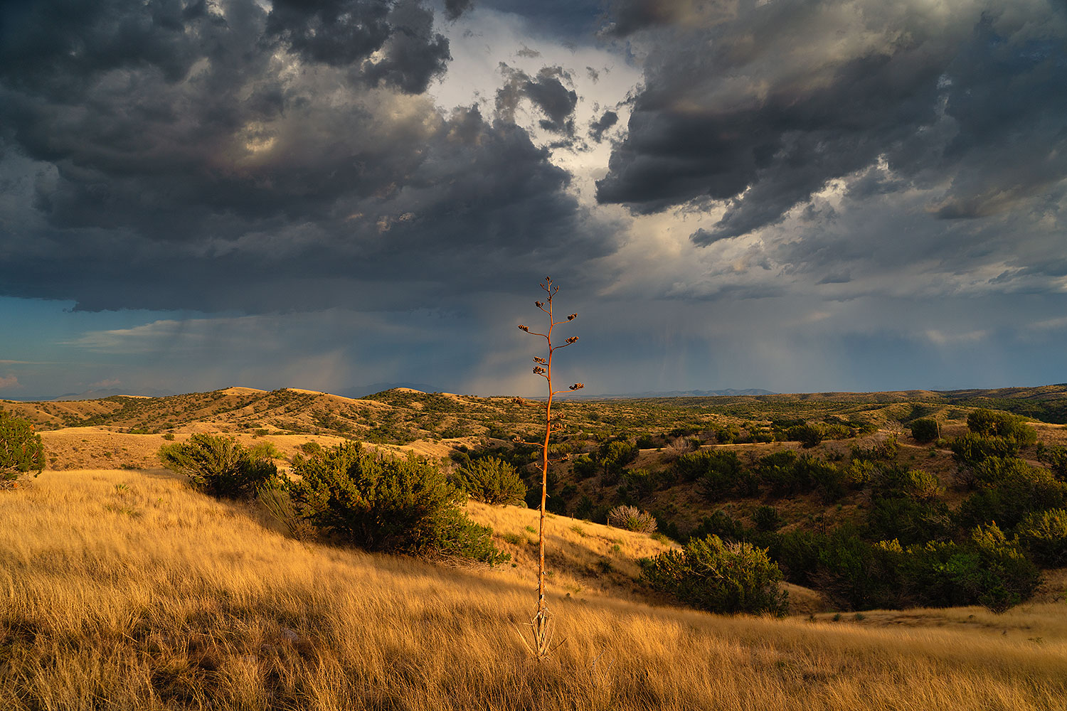 2020-07-31-box-canyon-4to0-a7r3_29733