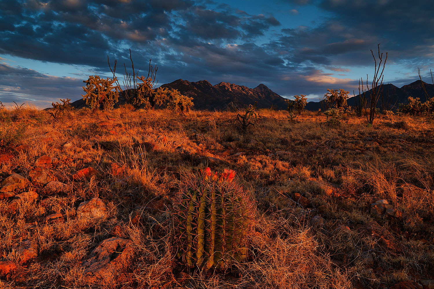 Clouds over Santa Rita Mountains â€¦ August 2020