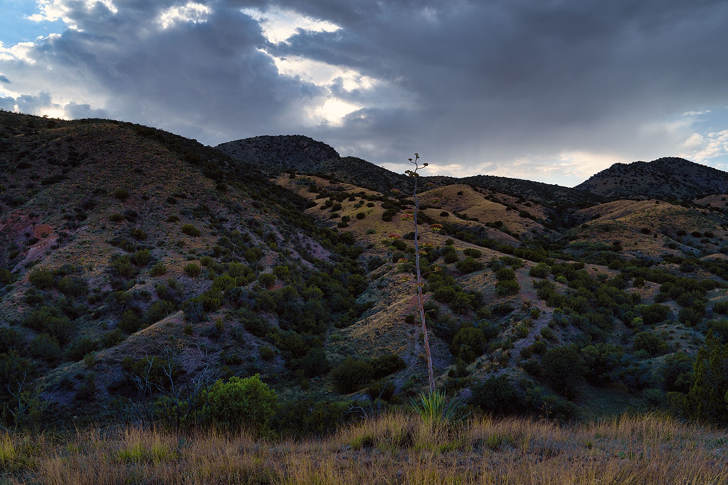 2020-08-28-box-view-a7r3_29386