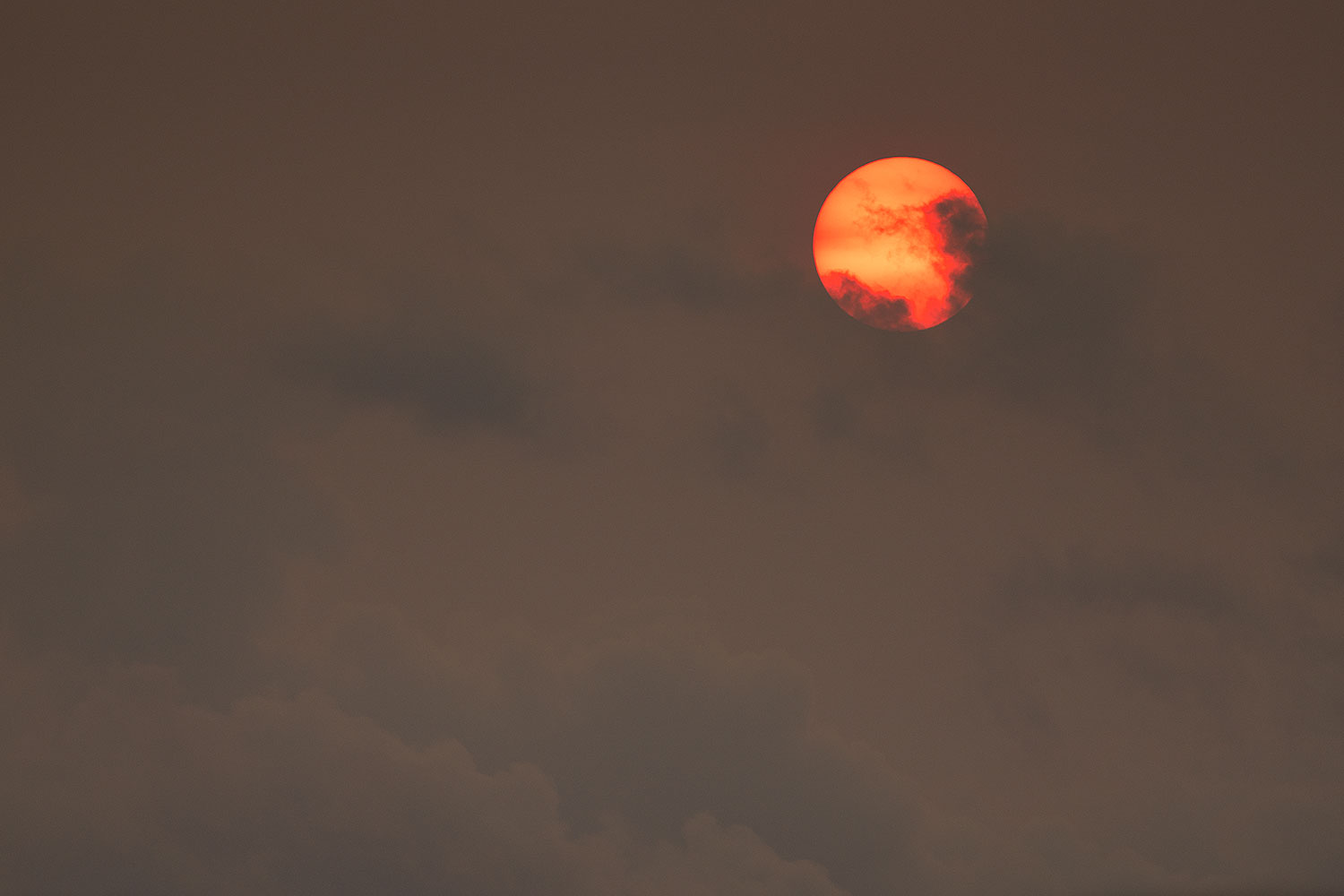 2020-09-08-gv-sun-only-a7r3_32394